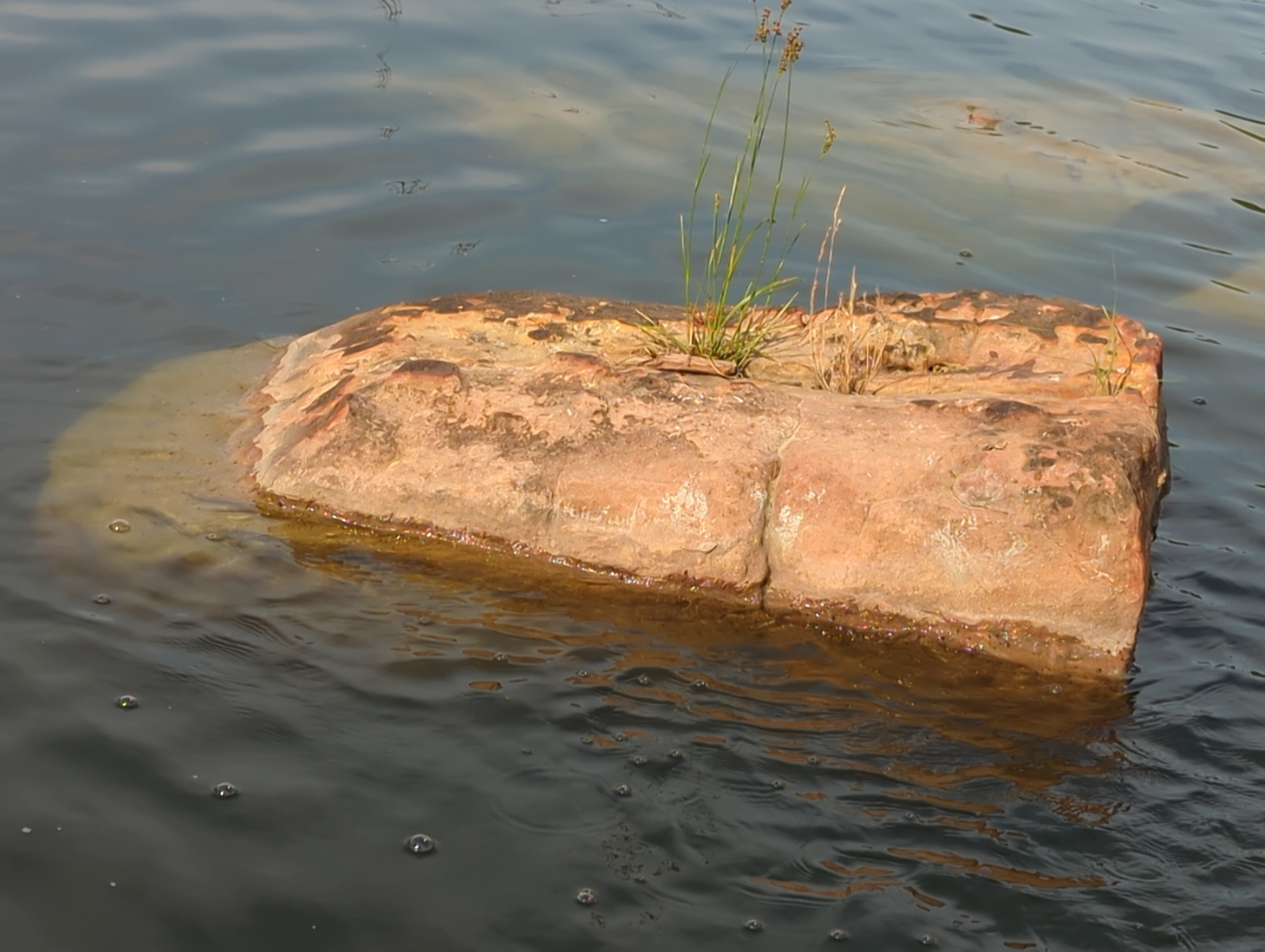 Solo stone